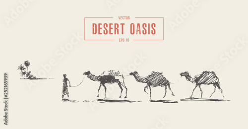 Caravan camels oasis desert draw vector sketch