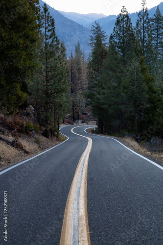 Scenic road in the mountains during a vibrant morning sunrise. Taken in Stanislaus National Forest, California, United States of America.