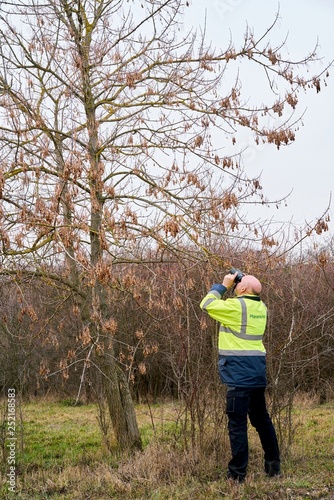 Experte während der Untersuchung von Bäumen auf einen möglichen Schädlingsbefall durch den asiatischen Laubholzbockkäfer © Heiko Küverling