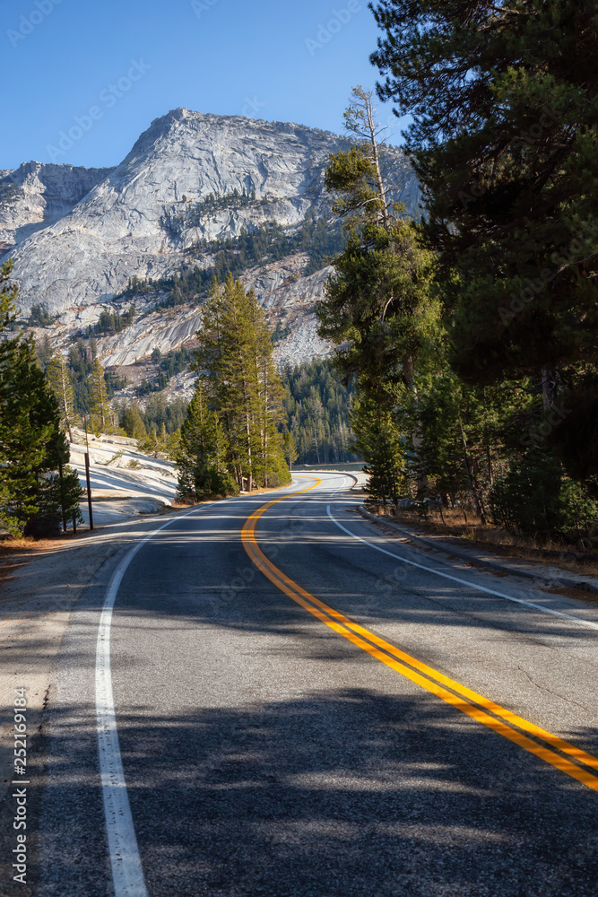 Fototapeta premium View of a scenic road, Tioga Pass, in the Valley surrounded by mountains. Taken in Yosemite National Park, California, United States.