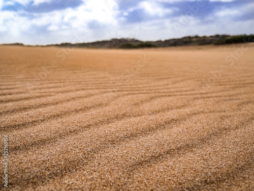 Obraz na płótnie Beautiful curves on desert sand in La Guajira desert Colombia w salonie