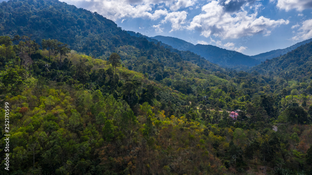 Arial shot of jungle forest with a pink house. Drone view of National park and Wildlife mountains. Beautiful place for camping. Drone above the tropical trees. Jungle hiker outdoor landscape in Thai.