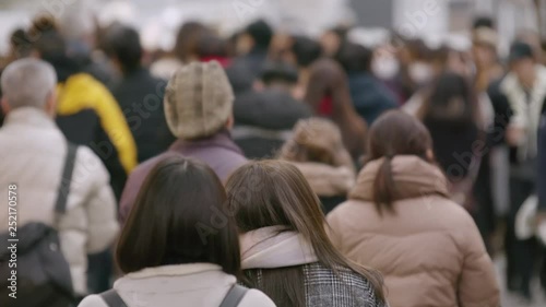 Wallpaper Mural スローモーション 歩く人々 群衆 後ろ姿 2019年 冬 曇 新宿 繁華街 Torontodigital.ca