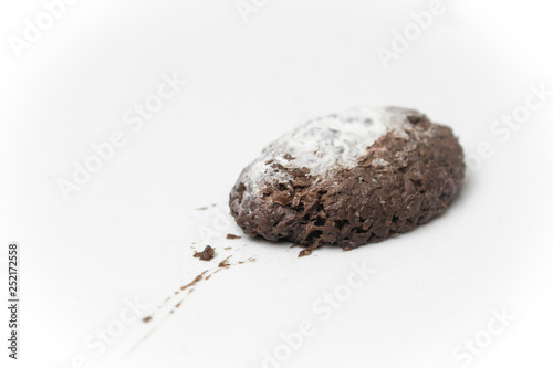 Shit of Bird on white background