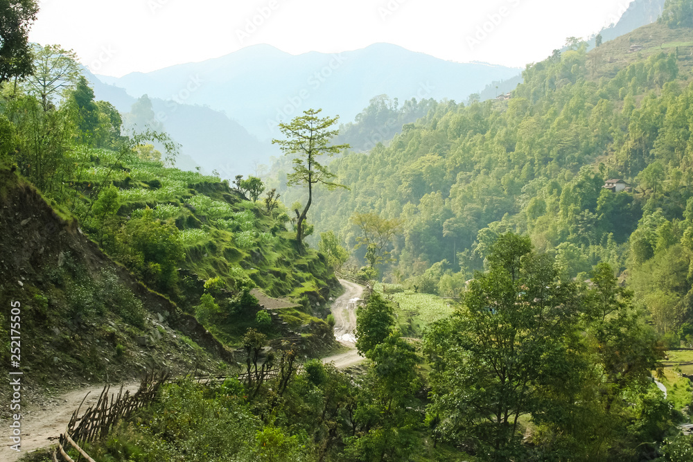 Naklejka premium Mountain winding road.