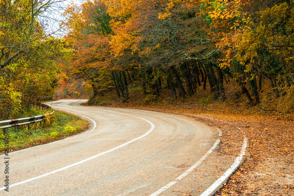 Obraz premium A curvy road in the mountains, beautiful autumn trees with yellow leaves