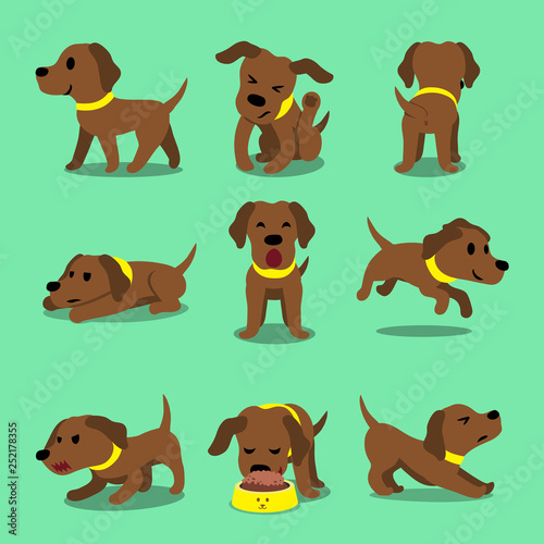 Cartoon character brown labrador dog poses for design.