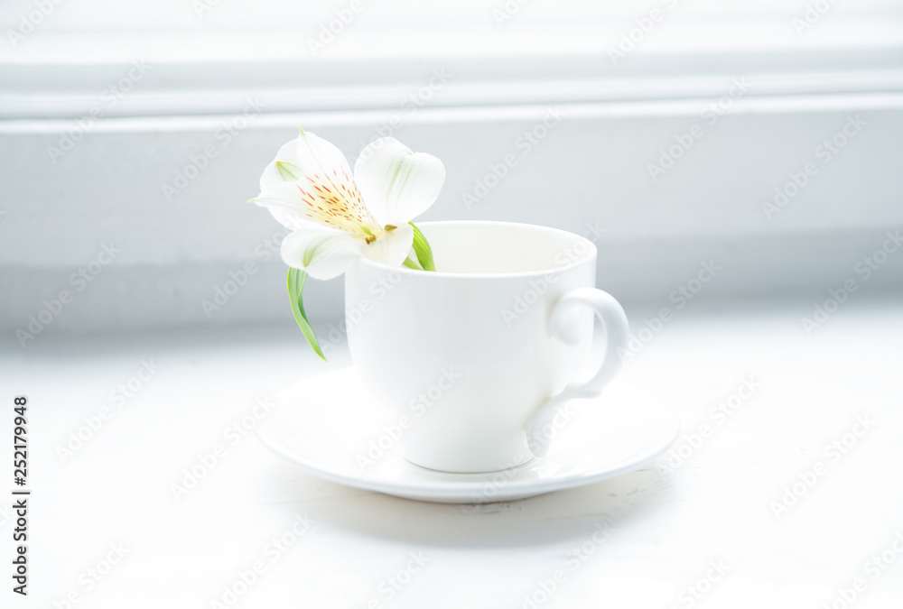 Кофейная чашка с цветком, цветок в чашке