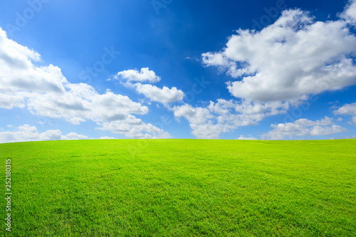 Green grass and blue sky with white clouds