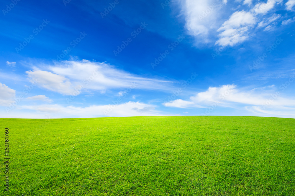Green grass and blue sky with white clouds Green grass and blue sky with white clouds