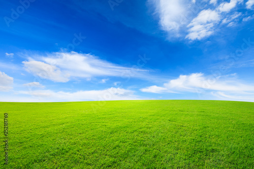 Green grass and blue sky with white clouds