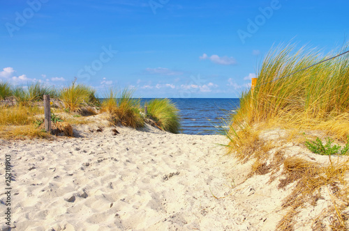 Fototapeta Naklejka Na Ścianę i Meble -  Poel Strand Am Schwarzen Busch - Poel beach at the black bush on the island of Poel in Germany