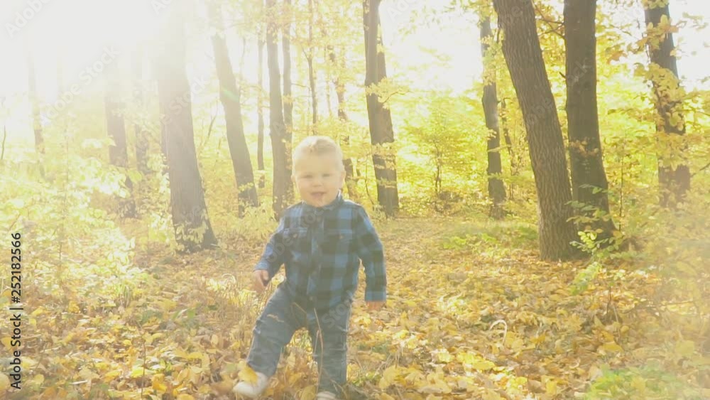 little boy in the autumn forest little boy in the autumn forest