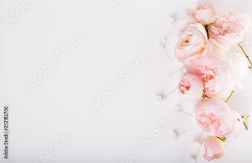 Festive flower composition on the white wooden background. Overhead view © Olga Ionina