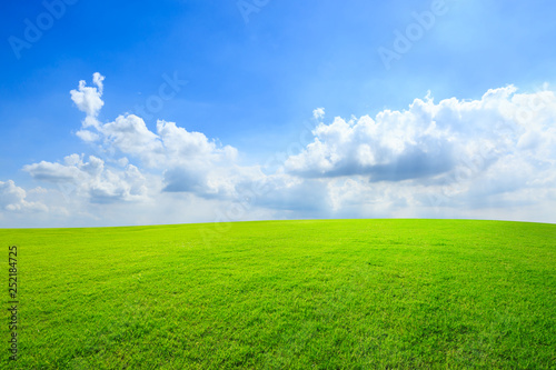 Green grass and blue sky with white clouds © ABCDstock