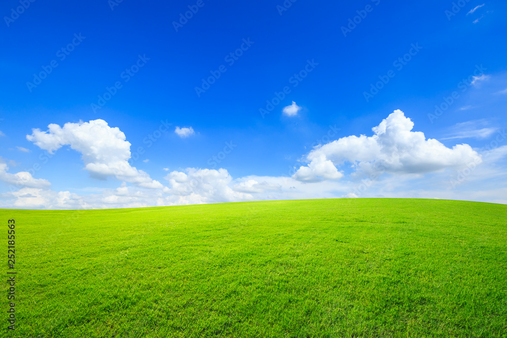 Fototapeta premium Green grass and blue sky with white clouds