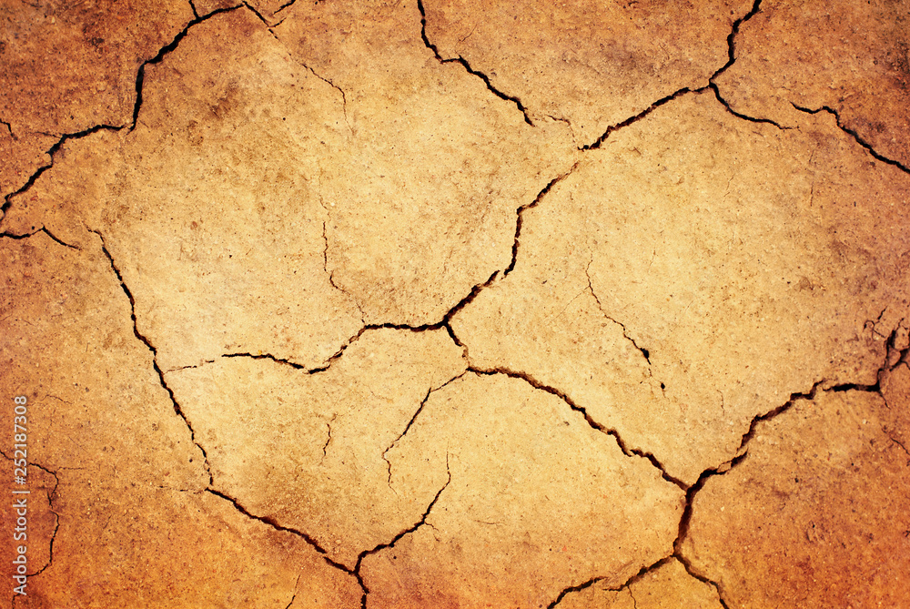 Fototapeta premium Grunge dried ground