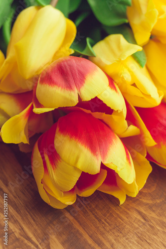 Spring tulips flower on wooden background.