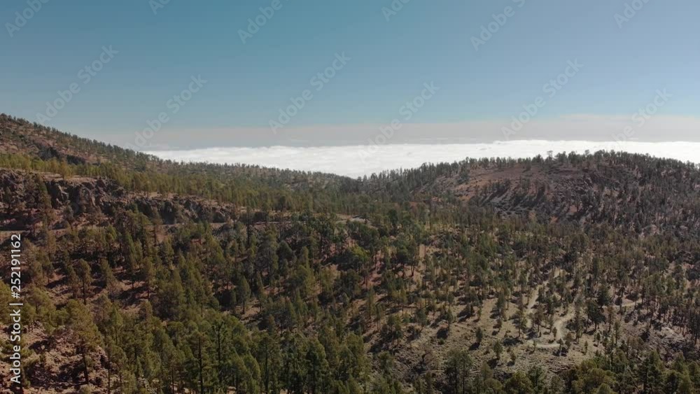 Aerial shot. Flying over the mountains and green pine forest and above the clouds. Mountain valley with cars driving on the asphalt road going far. Spain, Canary Islands, Tenerife, Volcano Teide.