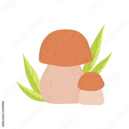 Forest Edible Cep Mushroom, Wild Organic Product Vector Illustration