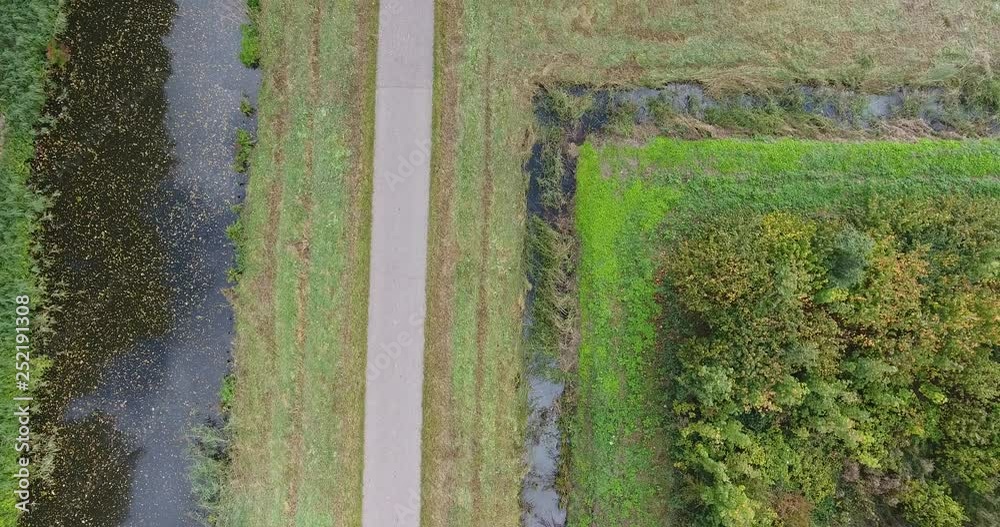 Aerial nature park shot with drone, forest autumn trees and lakes landscape 4k Aerial nature park shot with drone, forest autumn trees and lakes landscape 4k