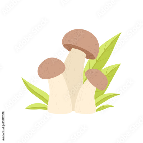 Forest Edible Mushroom Growing Grass, Wild Organic Product Vector Illustration