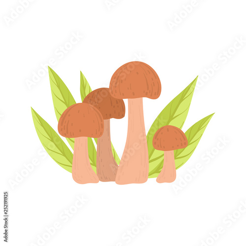 Wild Forest Edible Mushrooms, Eco Product Vector Illustration