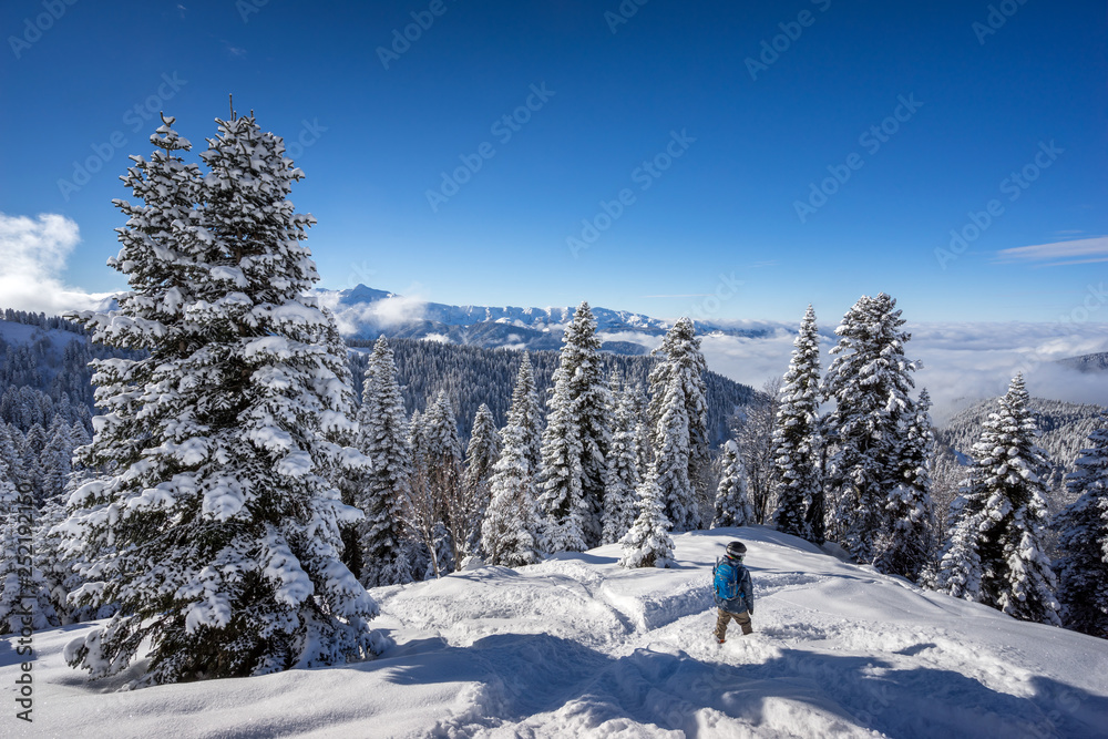 Snowboarder freerider and beautiful landscape with pine trees covered with snow on background blue sky after snowfall on ski resort of the Caucasus mountains
