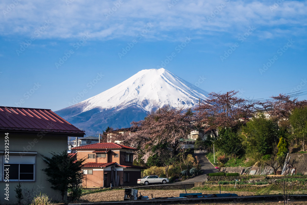 Mountain Fuji View from local village  Japan spring season