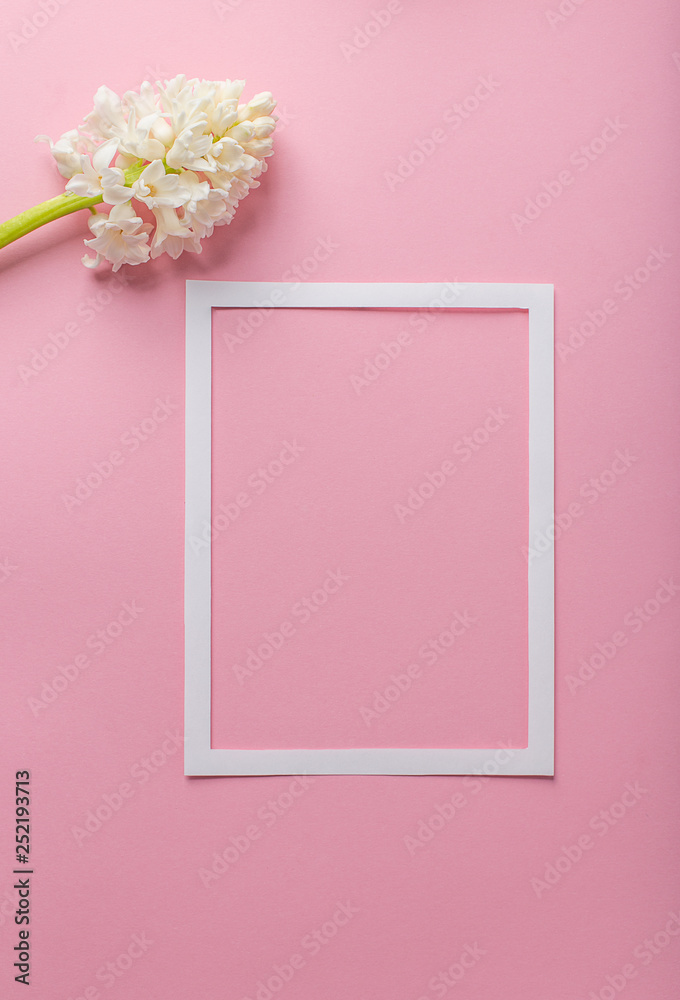 white frame on a pink background with hyacinths