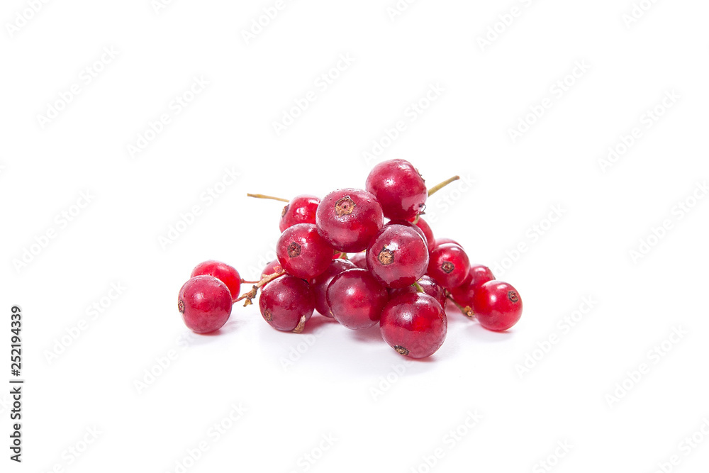 Red currant berry isolated on white. A bunch of red currant.. Red currant berry isolated on white. A bunch of red currant..