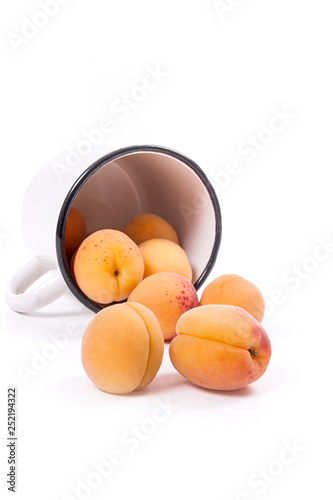 Harvested apricots in white cup with whole and halved apricots on white background..