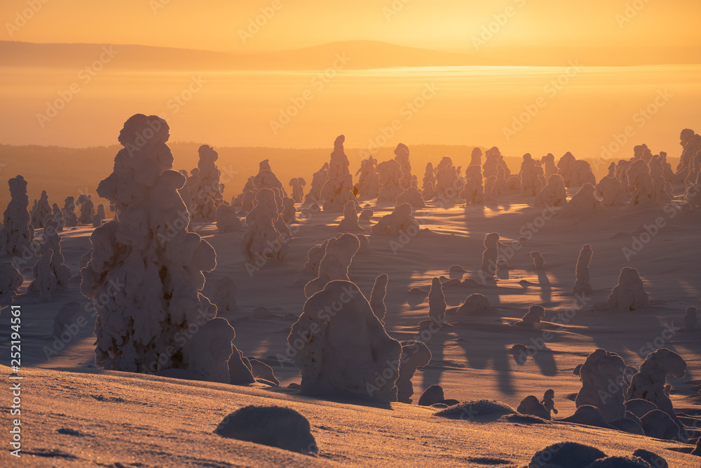 Riisitunturi national park at golden sunrise with silhouette of snow packed trees near Kuusamo in Posio, Finland
