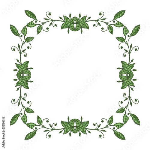 Vector illustration beautiful flower red and green frames hand drawn