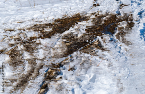 snow and mud, spring has come © DmitryDolgikh