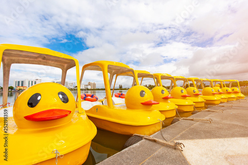 Yellow duck Pedal boat  in park.
