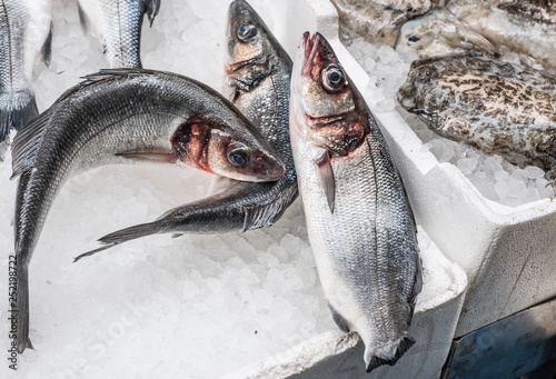 Fish at seamarket photo