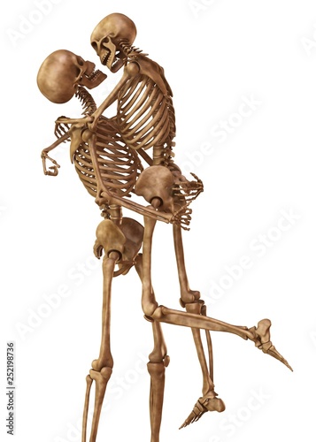 Skeletons of man and woman in the pose of lovers. Isolated on white background 3d illustration photo