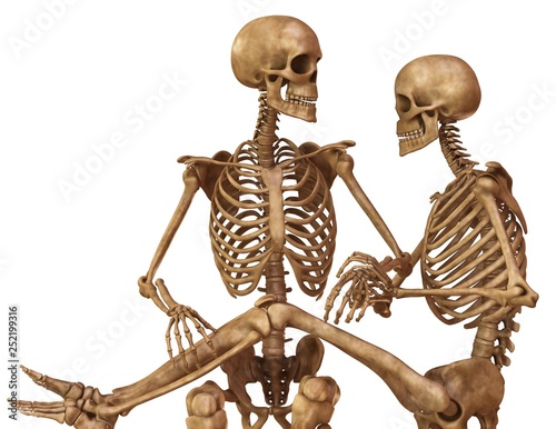 Wallpaper Mural Skeletons of man and woman in the pose of lovers. Isolated on white background 3d illustration Torontodigital.ca
