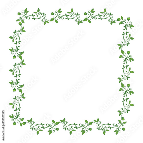 Vector illustration green leafy flower frame decor hand drawn © StockFloral
