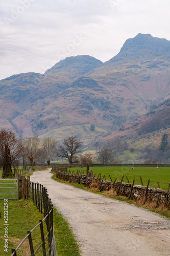Fototapeta Naklejka Na Ścianę i Meble -  The Langdale Pikes seen from a byway winding its way along the Great Langdale valley, Lake District, UK