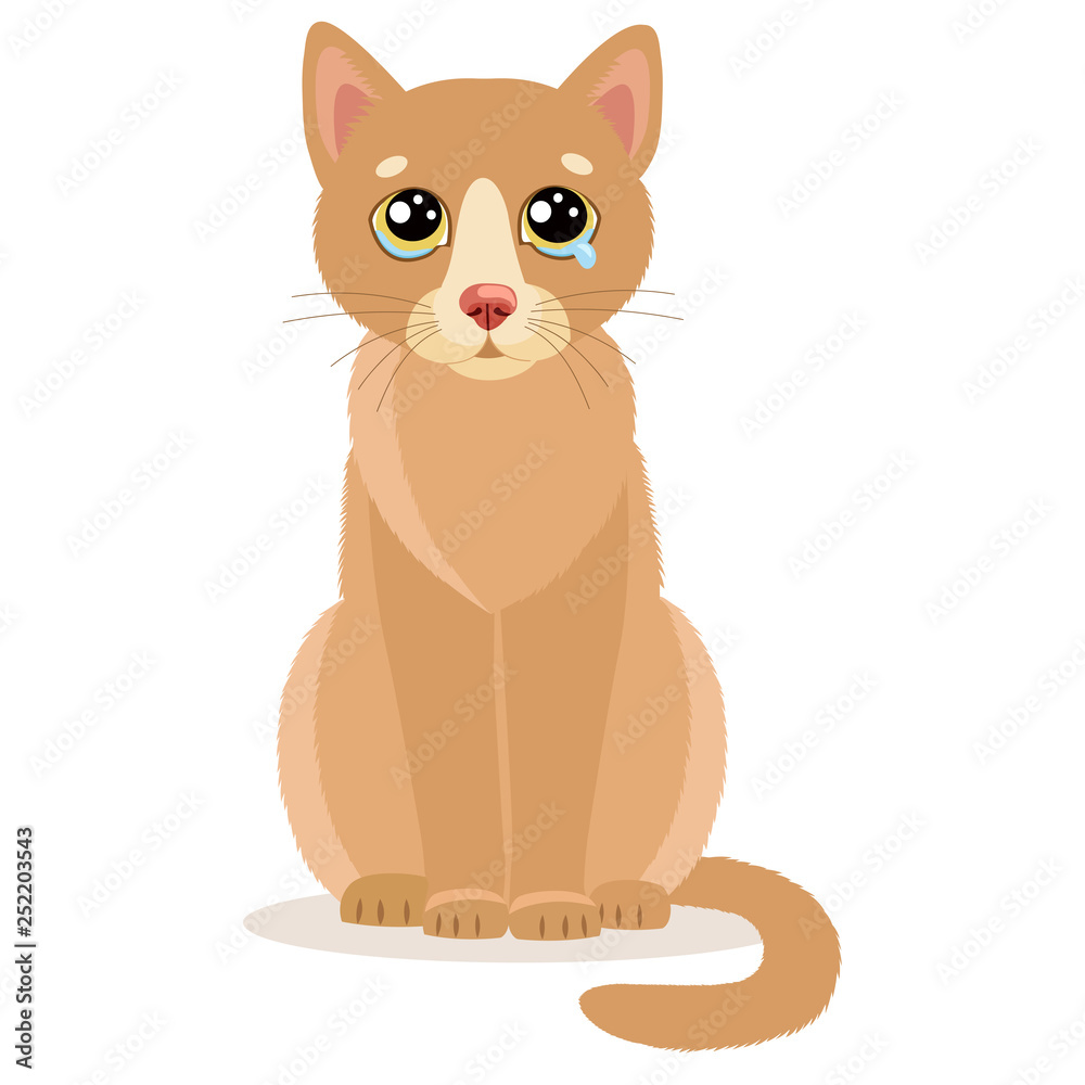 Sad Crying Cat Cartoon Vector Illustration. Sitting Cat With Tears ...