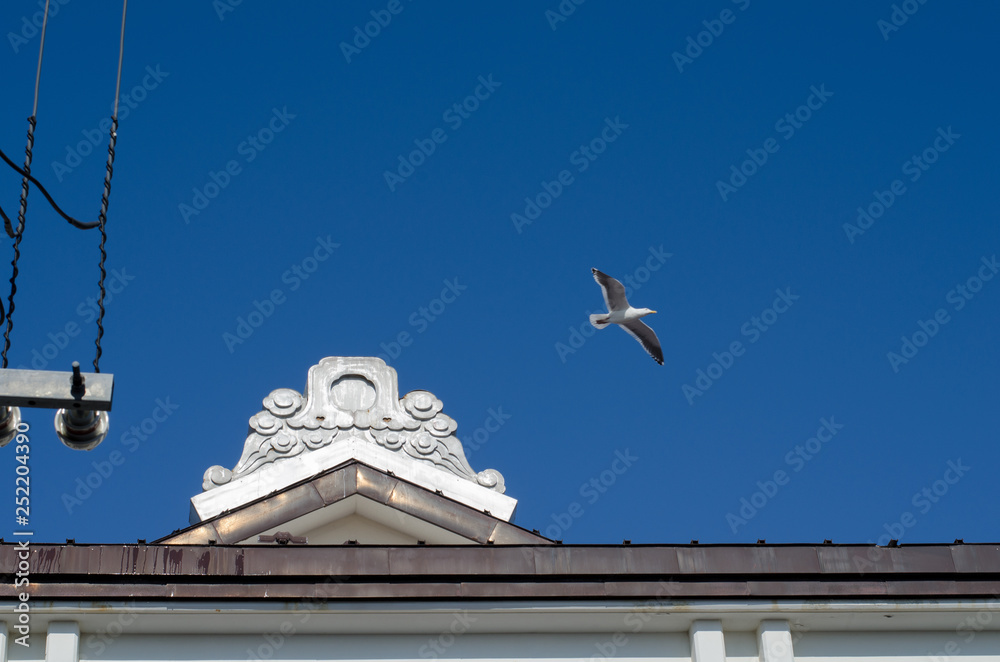 海鳥と屋根