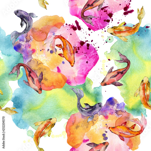 Photography Aquatic underwater colorful tropical goldfish set