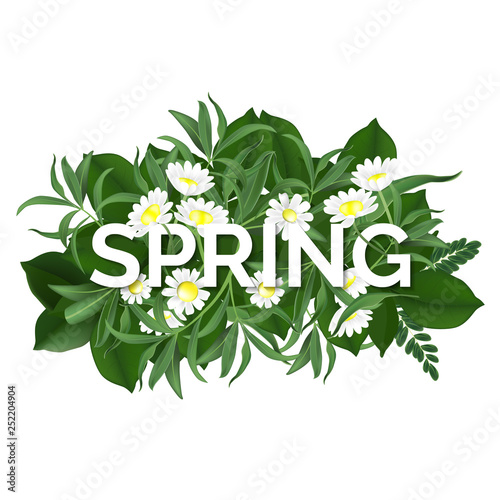 spring background. green na...
