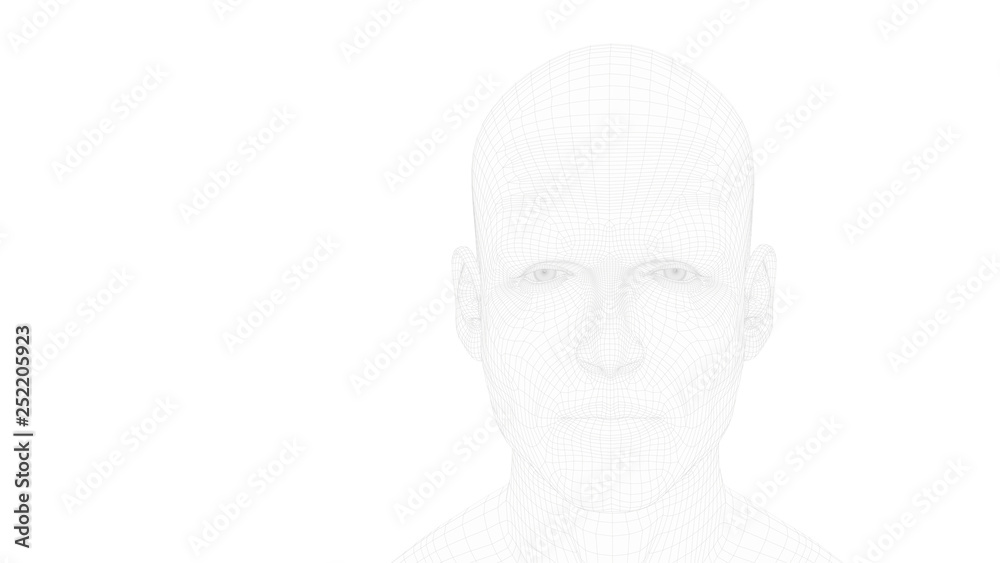 head of a man in wireframe without hair, artificially generated face by a software, interpretation of the human face elaborated by a computer. Facial recognition. Image with white background head of a man in wireframe without hair, artificially generated face by a software, interpretation of the human face elaborated by a computer. Facial recognition. Image with white background