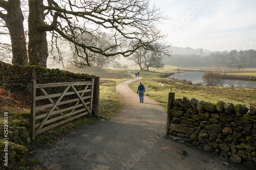 Photography People and dogs seen through an open gate on the path between Elterwater and Ske