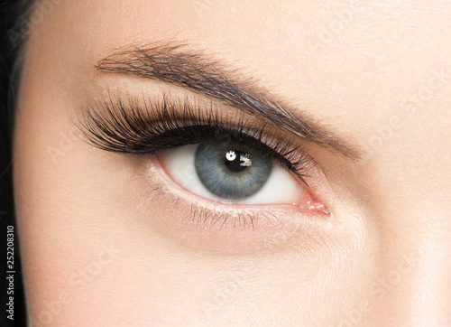 Eyes lashes woman closeup isolated on white macro