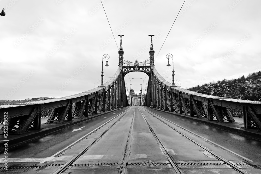 Budapest, Hungary - beautiful Liberty Bridge. Black and white geometric photo Budapest, Hungary - beautiful Liberty Bridge. Black and white geometric photo