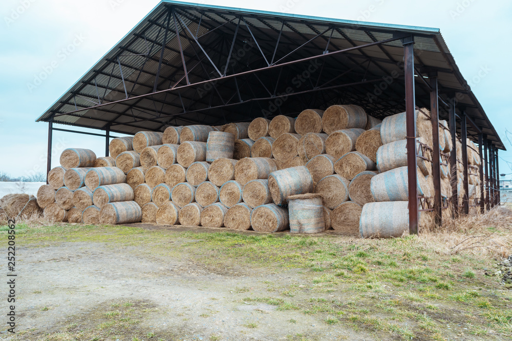 Huge barn for storing hay. Large bales of hay are stored under a large